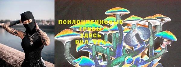 соль ск Сатка
