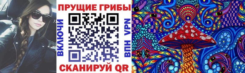 Псилоцибиновые грибы GOLDEN TEACHER  Купить  Свирск 